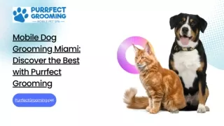 Mobile Dog Grooming Miami: Discover the Best with Purrfect Grooming