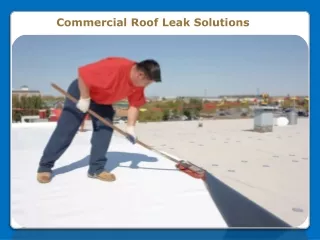 Commercial Roof Leak Solutions