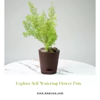 Explore Self Watering Flower Pots