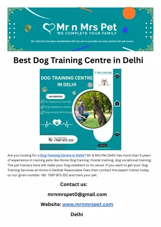 Best Dog Training Centre in Delhi