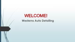 Best Paint Protection Services in Werrington