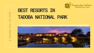 Best Resorts in Tadoba national park