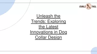 Top Dog Collar Design Trends You Need to Know in 2024