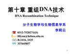 DNA DNA Recombination Technique