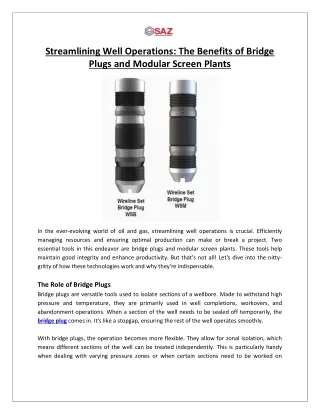 Streamlining Well Operations The Benefits of Bridge Plugs and Modular Screen Plants