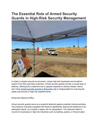 The Essential Role of Armed Security Guards in High-Risk Security Management (2)