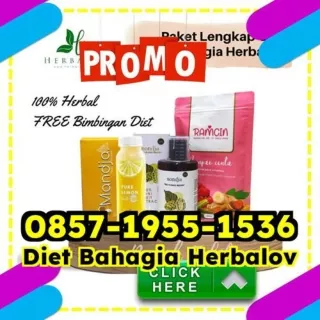 WA 0857-1955-1536 Program Obat Alami Pelangsing Badan Mampang Prapatan Nias