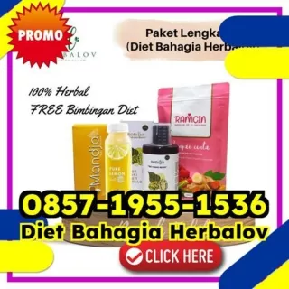 WA 0857-1955-1536 Program Obat Diet Paling Ampuh Bpom Palmerah Tapanuli Utara