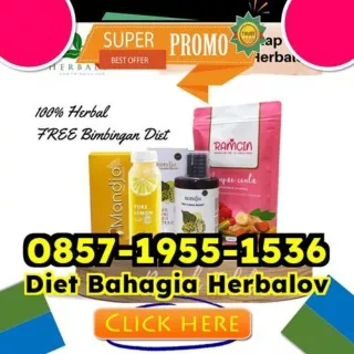 WA 0857-1955-1536 Suplemen Obat Diet Paling Cepat Kurus Tambora Binjai