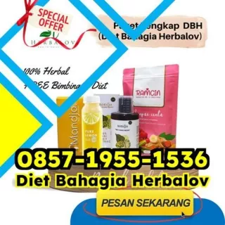 WA 0857-1955-1536 Tips Jual Pelangsing Badan Jatinegara Dairi