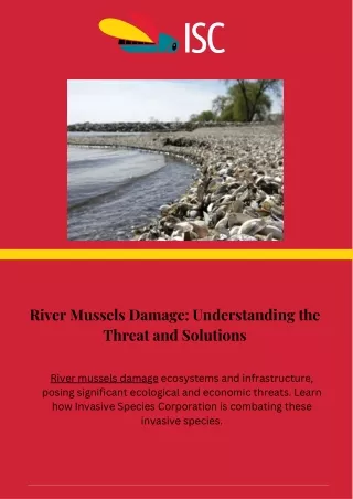 River Mussels Damage Understanding the Threat and Solutions