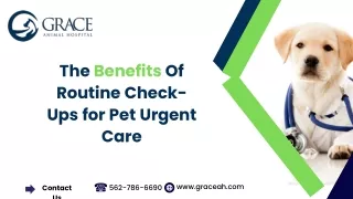 The Benefits Of  Routine Check-Ups for Pet Urgent Care