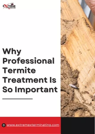 Why Professional Termite Treatment Is So Important