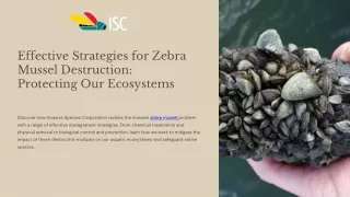 Effective Strategies for Zebra Mussel Destruction Protecting Our Ecosystems