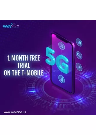 What are the Advantages of We Voice's Mobile Plan for your Business?