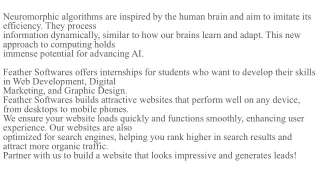 Neuromorphic Algorithms