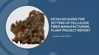 Cellulose Fiber Manufacturing Plant Project Report