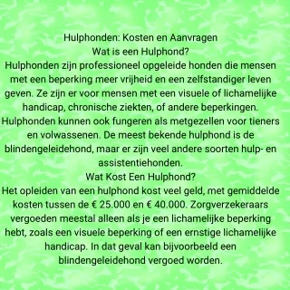 Wat Is Een Hulphond