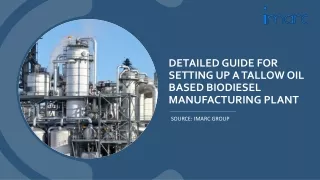 Tallow Oil Based Biodiesel Manufacturing Plant Project Report
