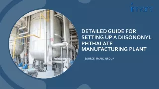 Diisononyl Phthalate Manufacturing Plant Project Report: Setup Details