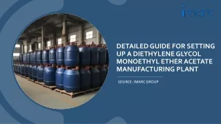 Diethylene Glycol Monoethyl Ether Acetate Manufacturing Plant Setup Report