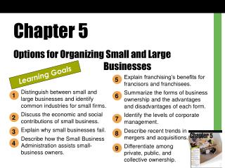 Chapter 5 Options for Organizing Small and Large 				Businesses