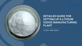 Establishing a Lithium Iodide Manufacturing Plant Setup PDF