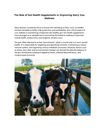 The Role of Gut Health Supplements in Improving Dairy Cow Wellness
