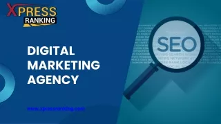 Accelerate Your Success With Our Digital Marketing Agency