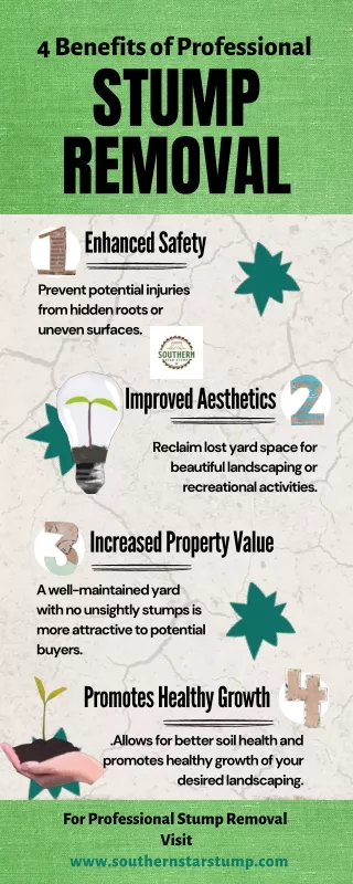 4 Benefits of Professional Stump Removal