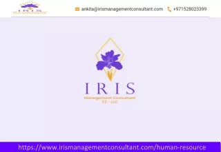 HR Consultant in Dubai