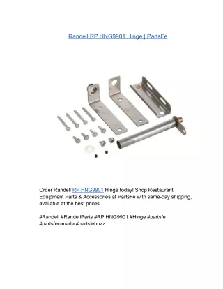 Randell RP HNG9901 Hinge | PartsFe