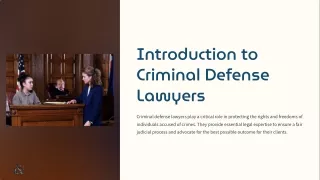 Introduction to Criminal Defense Lawyers