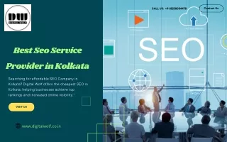 Digital Wolf: Best Seo Service Provider in Kolkata