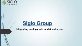 Siglo Group PPT 25-7-204