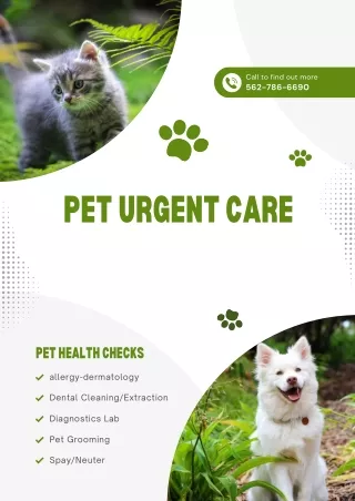 What You Need to Know  Pet Urgent Care