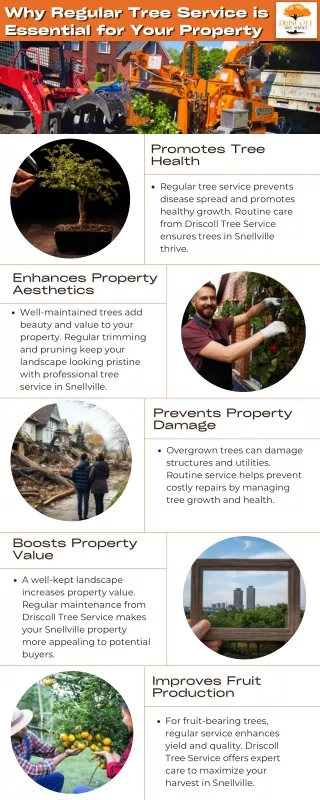 Why Regular Tree Service is Essential for Your Property