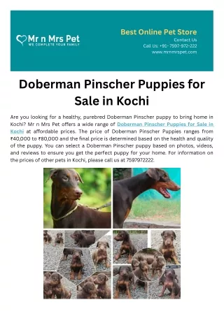 Doberman Pinscher Puppies for Sale in Kochi