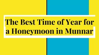 The Best Time of Year for a Honeymoon in Munnar