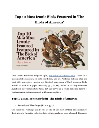 Top 10 Most Iconic Birds Featured in 'The Birds of America'