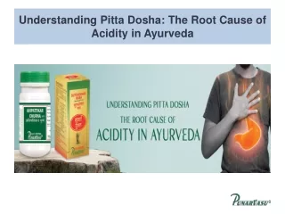 Understanding Pitta Dosha The Root Cause of Acidity in Ayurveda