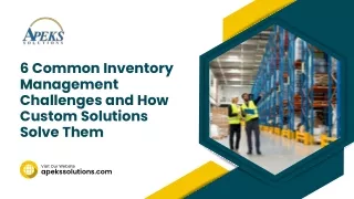 Overcoming Common Inventory Management Challenges with Custom Solutions