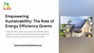 Empowering Sustainability The Role of Energy Efficiency Grants