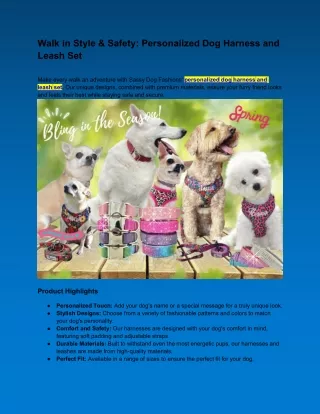 Walk in Style & Safety: Personalized Dog Harness and Leash Set