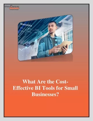 What Are the Cost-Effective BI Tools for Small Businesses