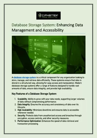 Database Storage System Enhancing Data Management and Accessibility