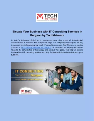 IT Consulting Services in Gurgaon - TechMetronix
