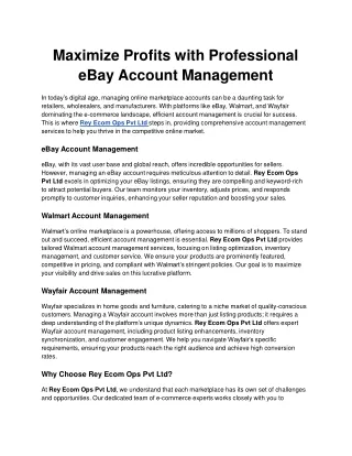 Maximize Profits with Professional eBay Account Management