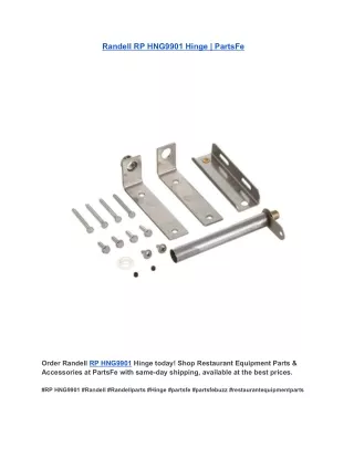 Randell RP HNG9901 Hinge | PartsFe