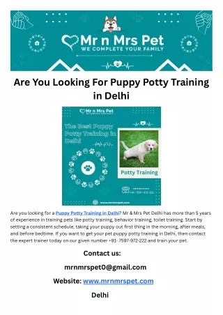 Are You Looking For Puppy Potty Training in Delhi